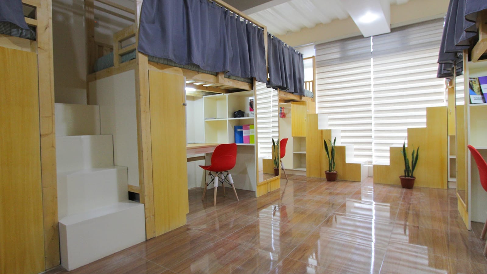 Trường Anh ngữ Pines