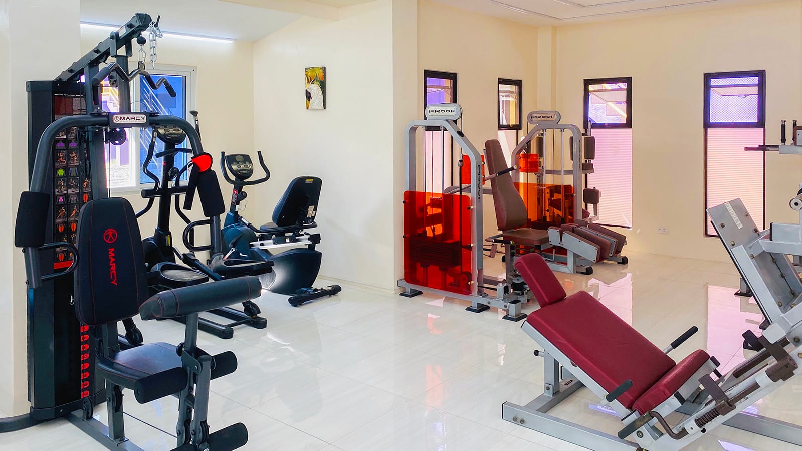 Trường Anh Ngữ CG Academy