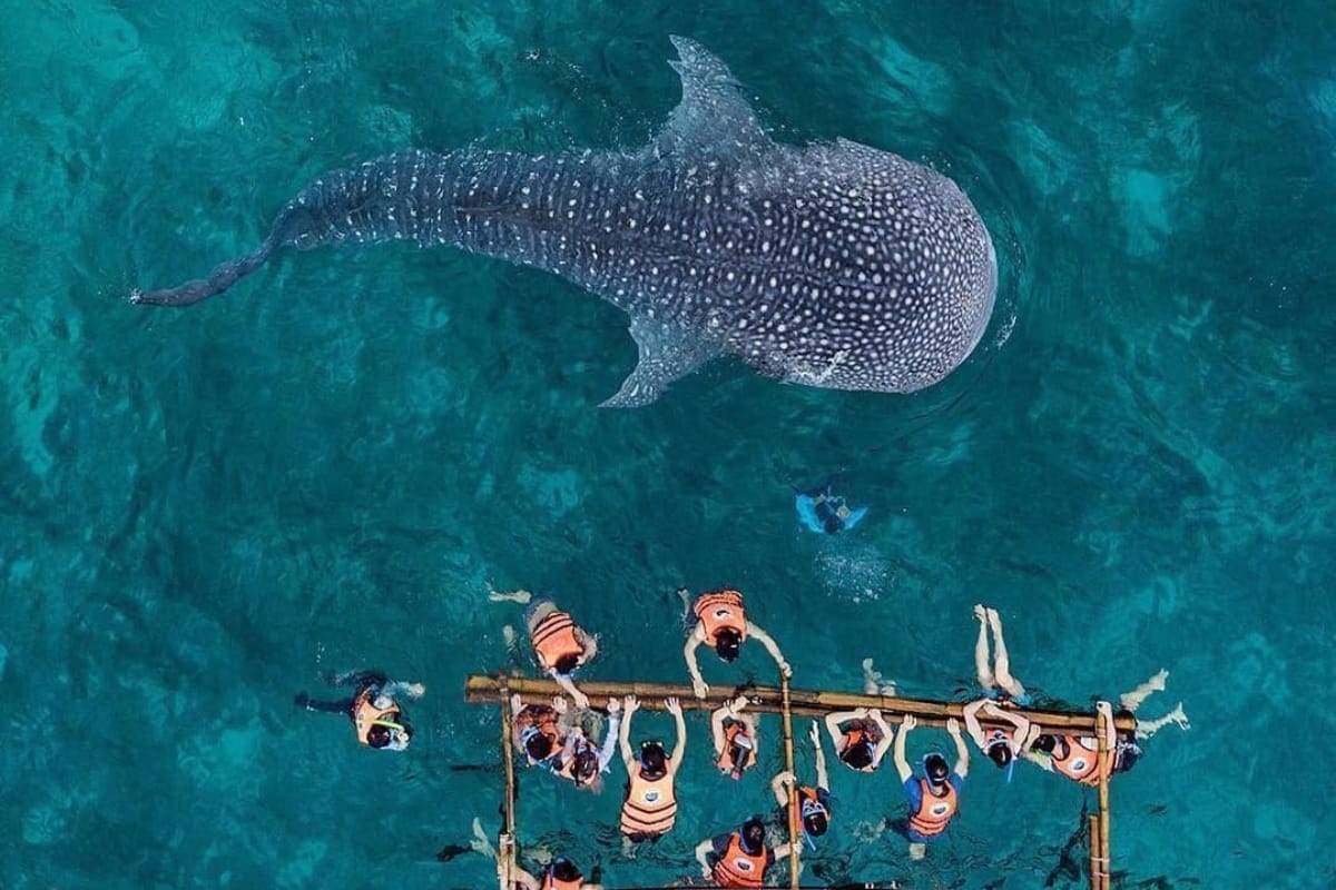 thanh-pho-cebu-philippines